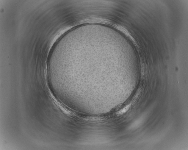 X0000076091040200610152313