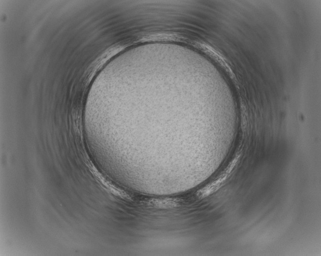 X0000076091041200610152313