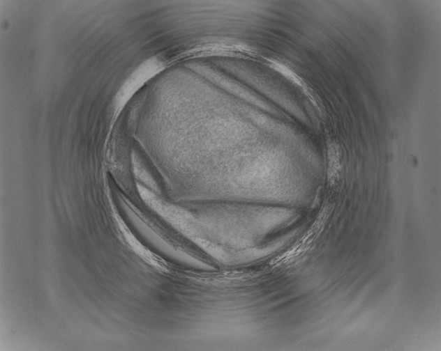 X0000076091042200610152313