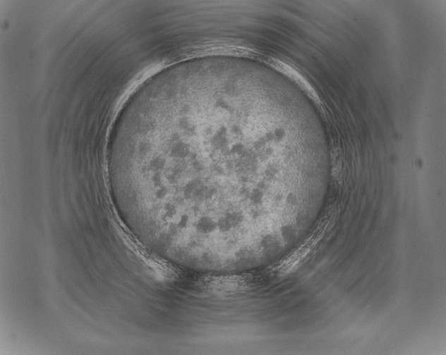 X0000076091043200610152313