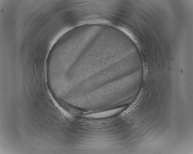 X0000076091046200610152313