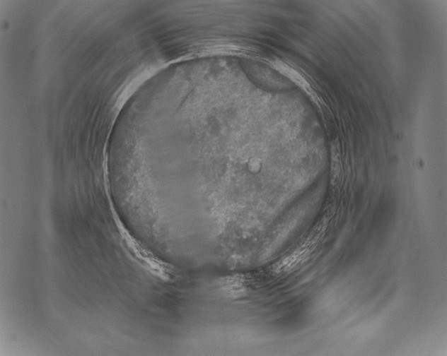 X0000076091047200610152313