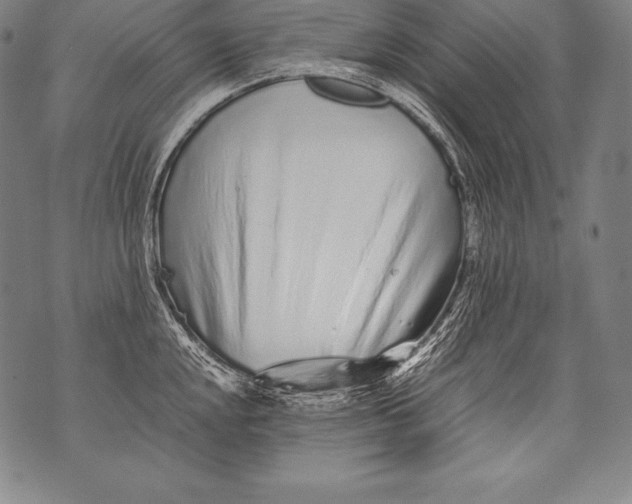 X0000076091048200610152313