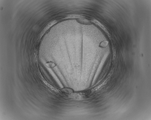 X0000076091049200610152313