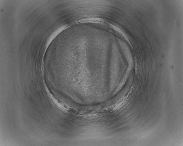 X0000076091050200610152313