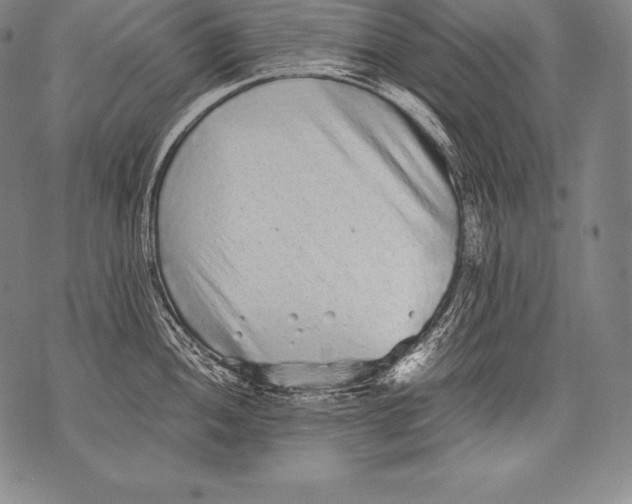 X0000076091052200610152313