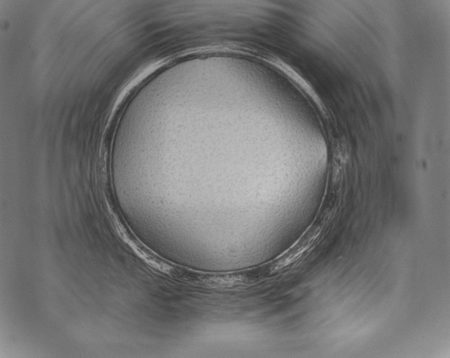 X0000076091053200610152313