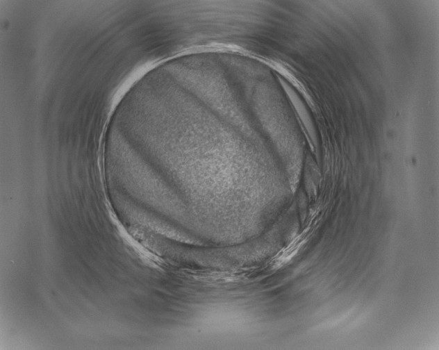 X0000076091054200610152313