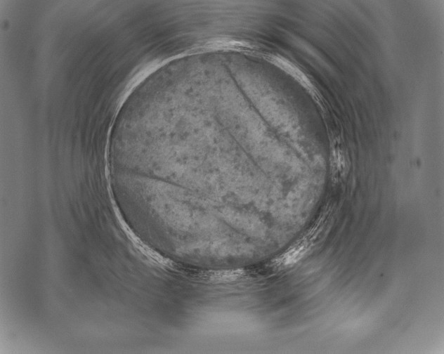 X0000076091055200610152313