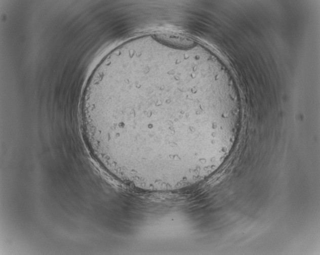 X0000076091056200610152313