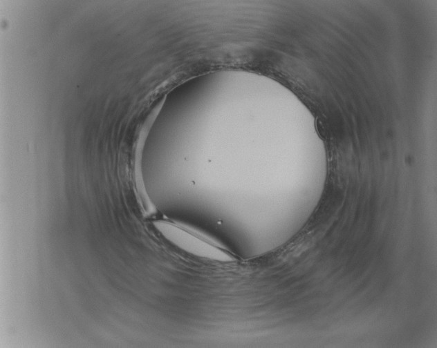 X0000076091058200610152313