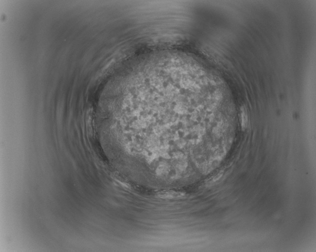 X0000076091059200610152313