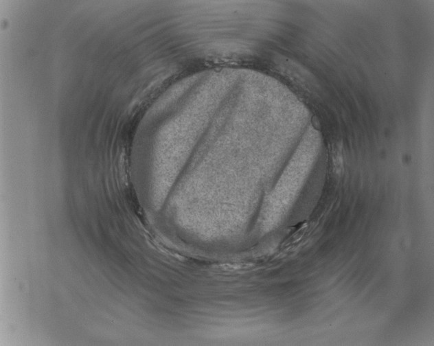 X0000076091060200610152313