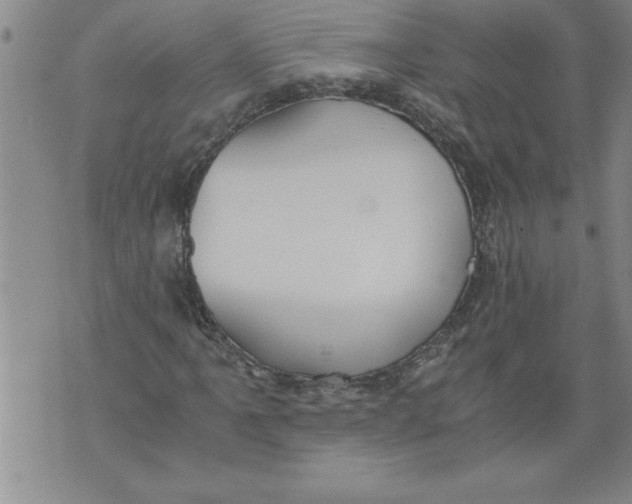 X0000076091061200610152313