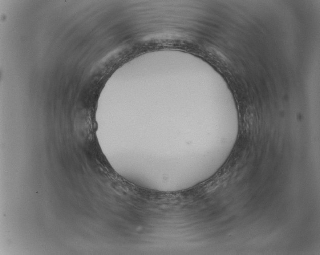 X0000076091062200610152313