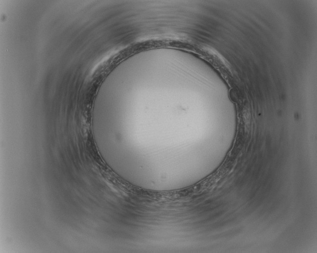 X0000076091064200610152313