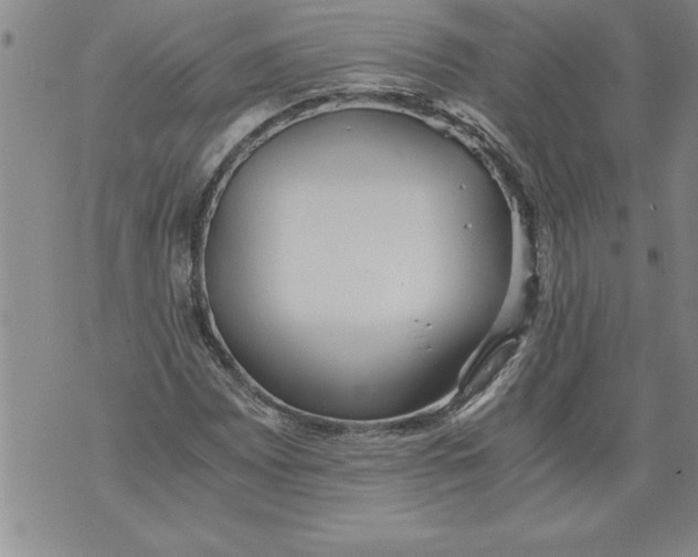 X0000076091065200610152313