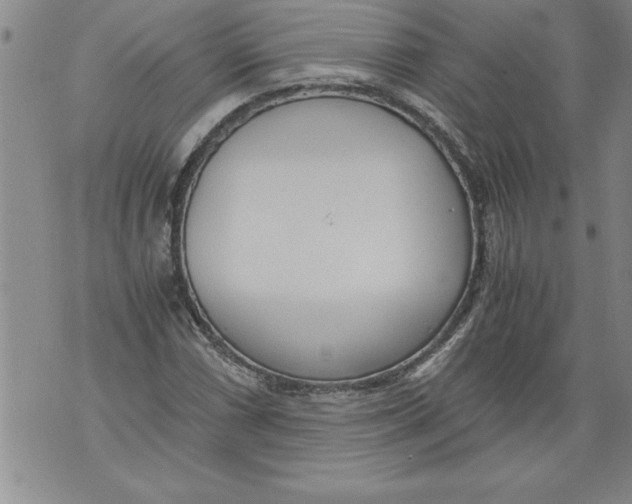 X0000076091066200610152313