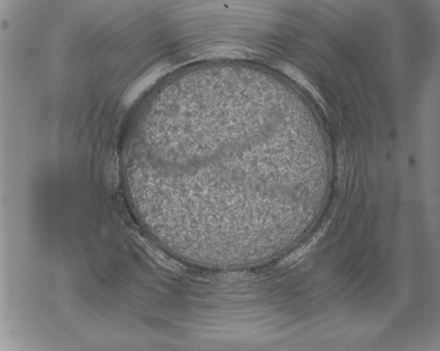 X0000076091067200610152313