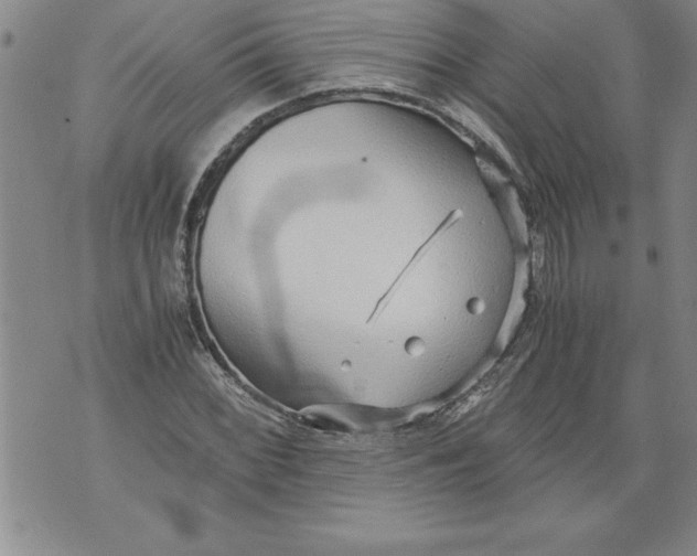 X0000076091068200610152313