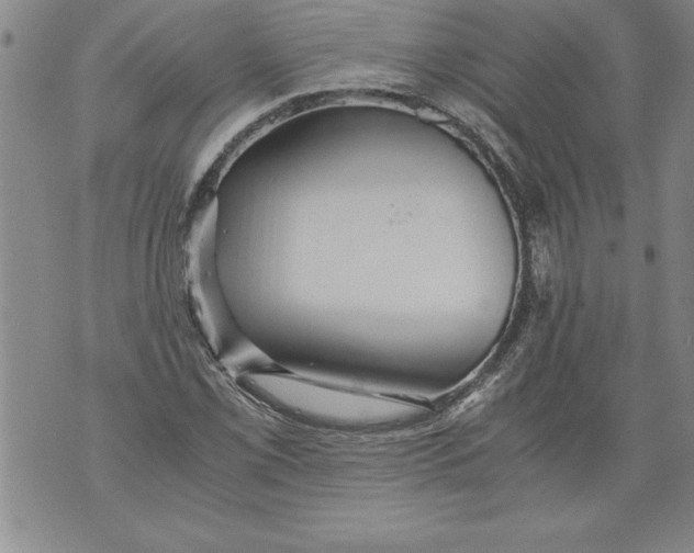 X0000076091069200610152313