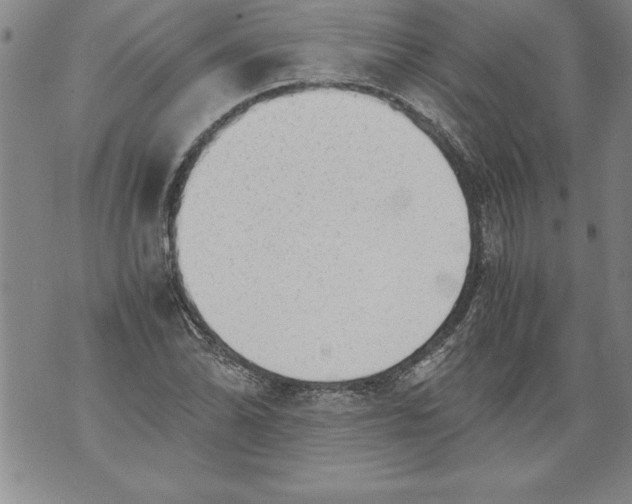 X0000076091070200610152312