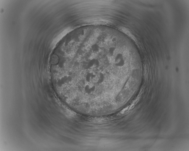 X0000076091071200610152312