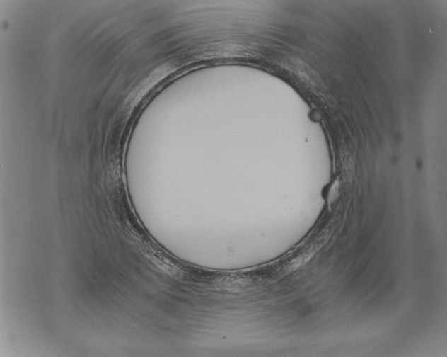 X0000076091073200610152312