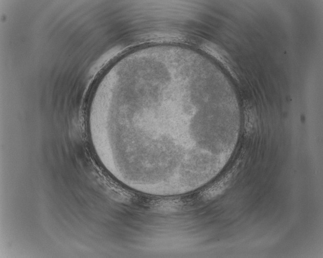 X0000076091074200610152312