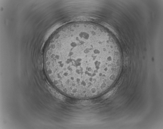 X0000076091075200610152312