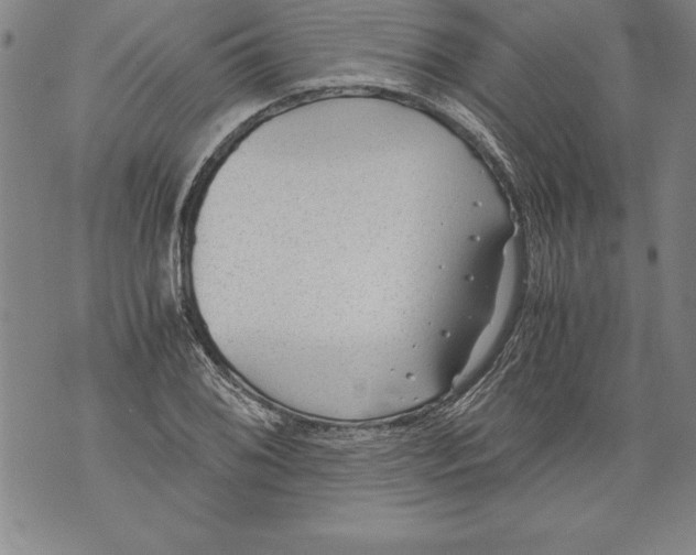 X0000076091076200610152312