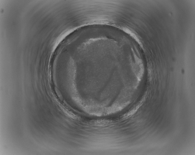 X0000076091077200610152312