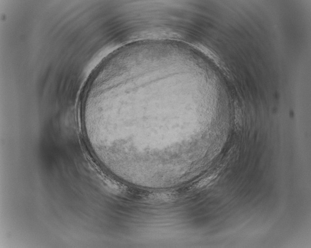 X0000076091078200610152312