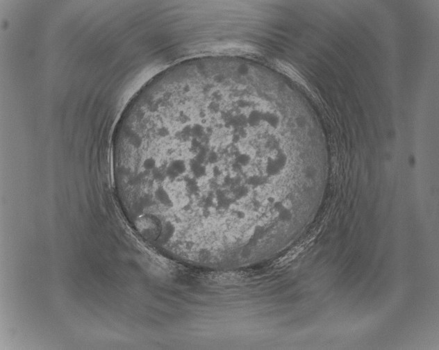 X0000076091079200610152312