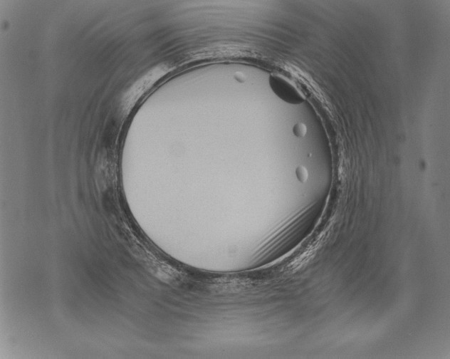 X0000076091081200610152312