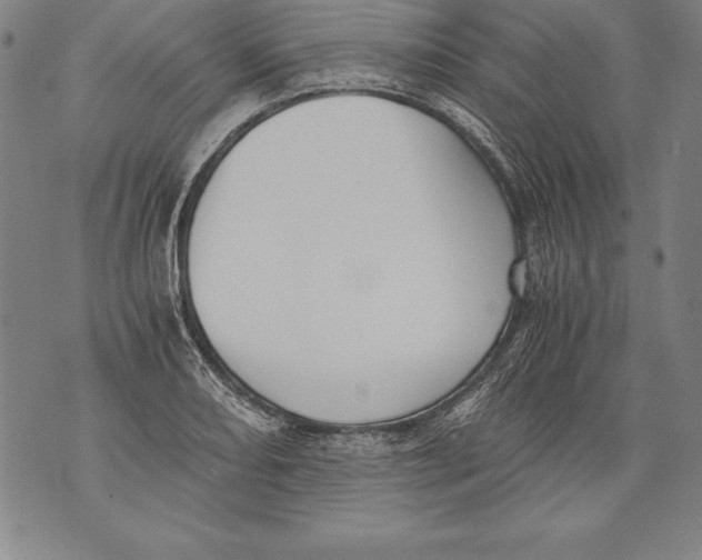 X0000076091082200610152312