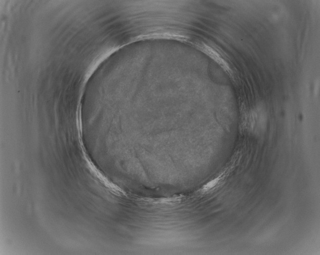 X0000076091084200610152312