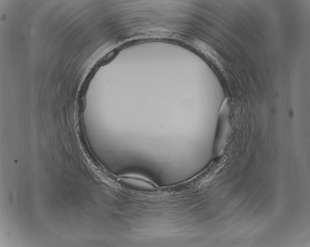 X0000076091085200610152312