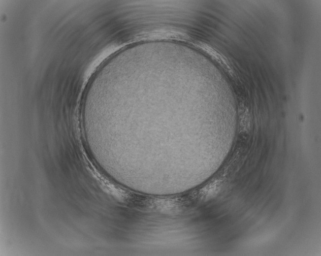 X0000076091086200610152312