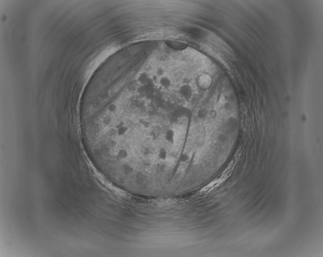 X0000076091087200610152312