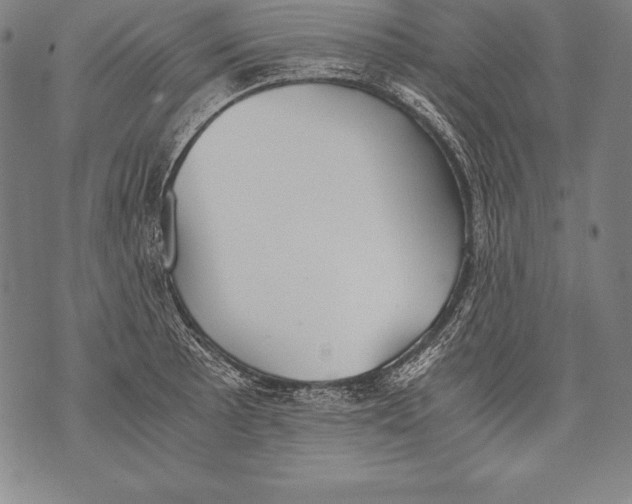 X0000076091089200610152312