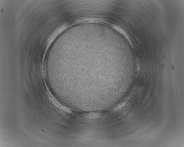 X0000076091090200610152312