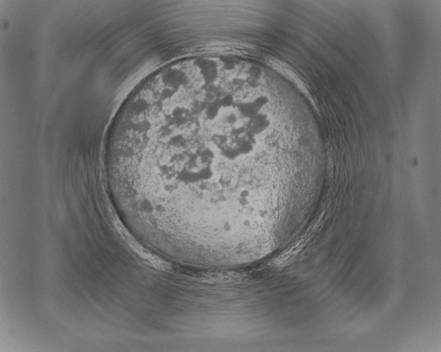 X0000076091091200610152312