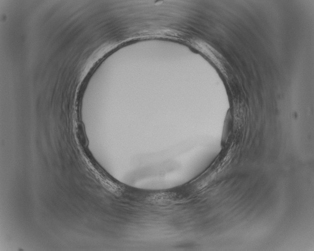 X0000076091093200610152312