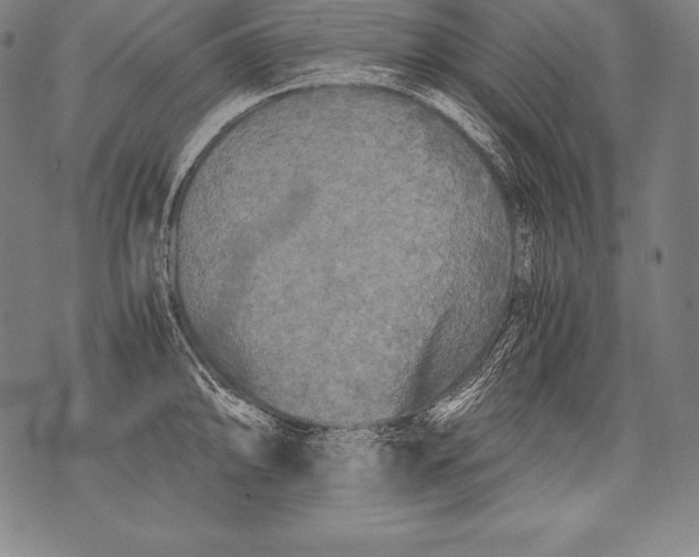 X0000076091094200610152312