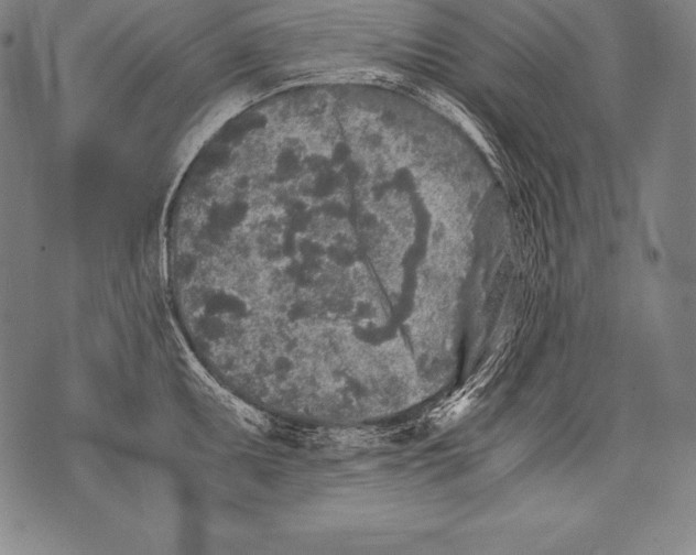 X0000076091095200610152312