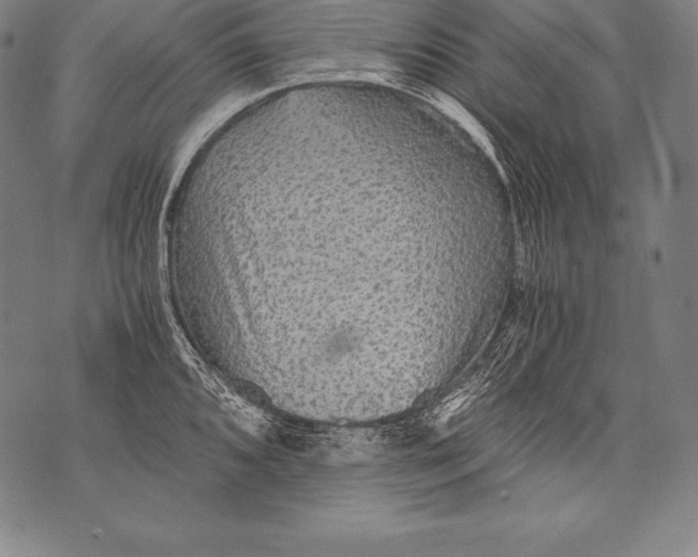 X0000076091096200610152312