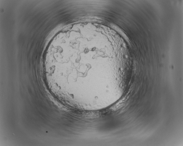 X0000076091099200610152312