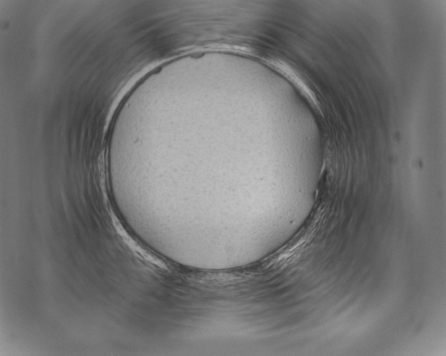 X0000076091100200610152312