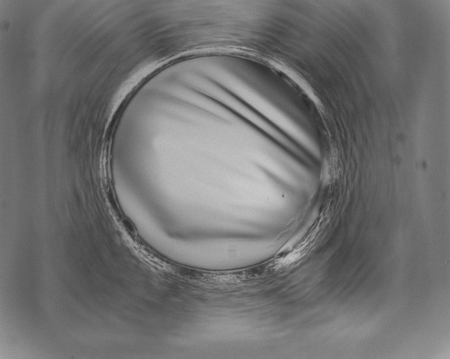 X0000076091101200610152312